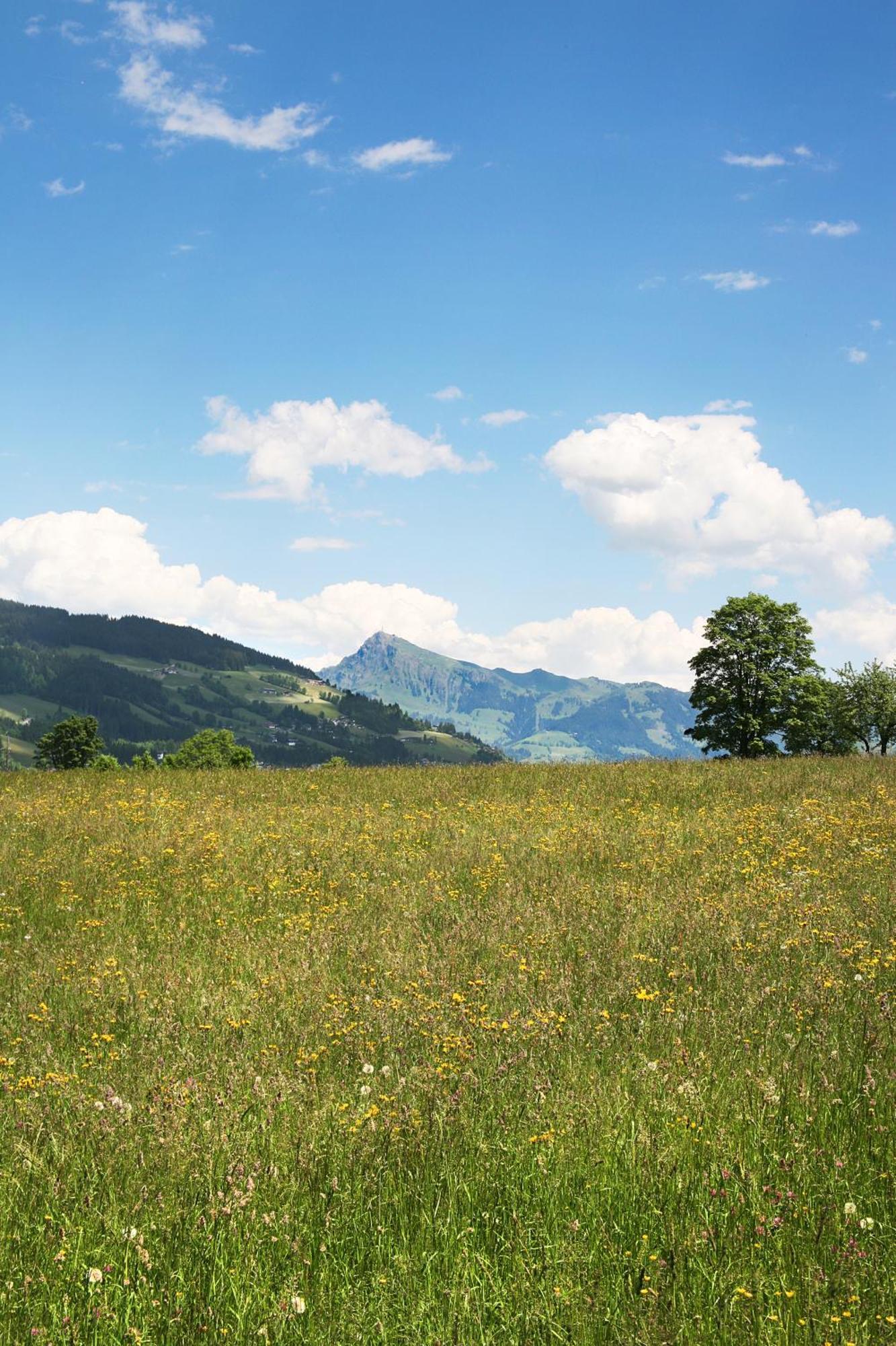 Loipenstubn Hotel Brixen im Thale Kültér fotó